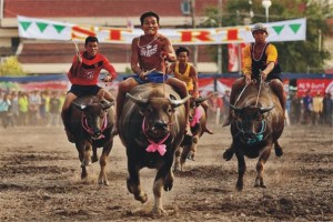 99127fa783aec4d81351c36bee1a5a56