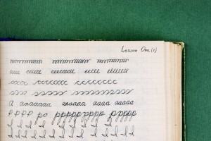 ac00a049adfbe99171de1dc5955c9547