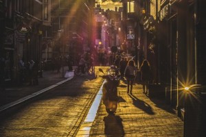 cea08a0a3de28d7416b4dbe0c9192fce