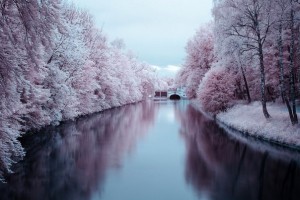 ed9a2c066055a307ddd0597ae34f7abc