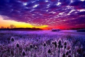 6e3236cb5d524348f7abf8dfc15d0669