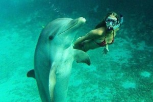 80986e329635655736021b7eb005a463