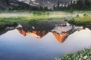 8a2cf82da06418bcdbd9c1f6f47f7db0