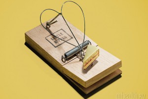 bdec7b2d28901b6edec354dc2cb36a04