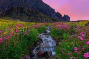 cea1069f598177a2540b8c57d340e49c