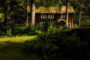 e1cf01f5160a954f2549e2018028e802