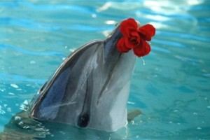 2bea0dfad6483cff36360f3a8bf116c1