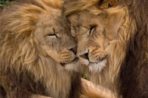 dd894b89cc125e2335c8e46a34e2ffd7