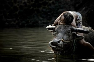 e173ec906ed96011fa67fa826499cb31