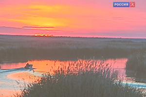 ca242ebfe4b768ab48184ccaf60f8ed1