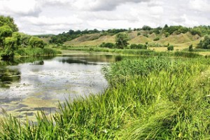 d5e285b88e7d4969439a2a51d7489e16